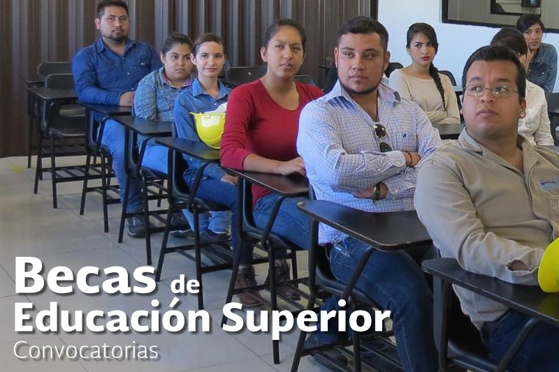 Subsecretaría De Educación Superior