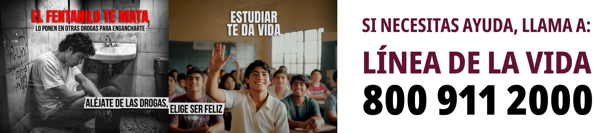 Línea de la vida