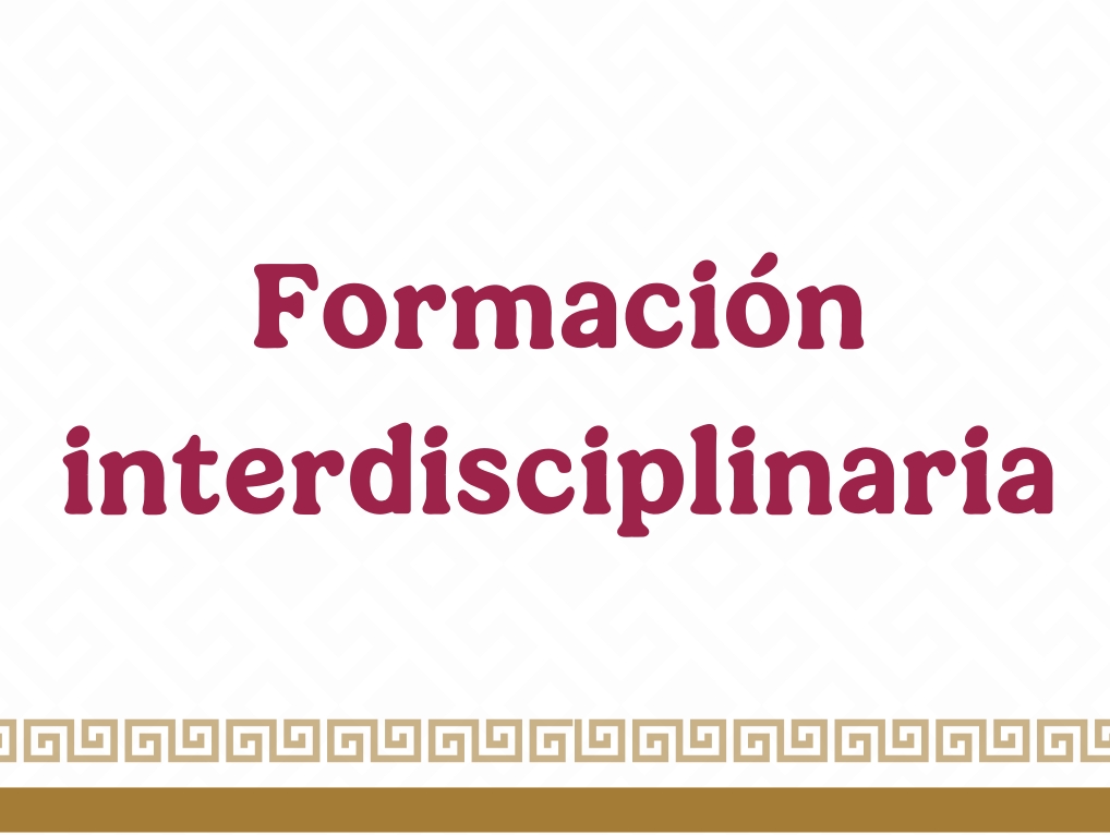 Formación interdisciplinaria